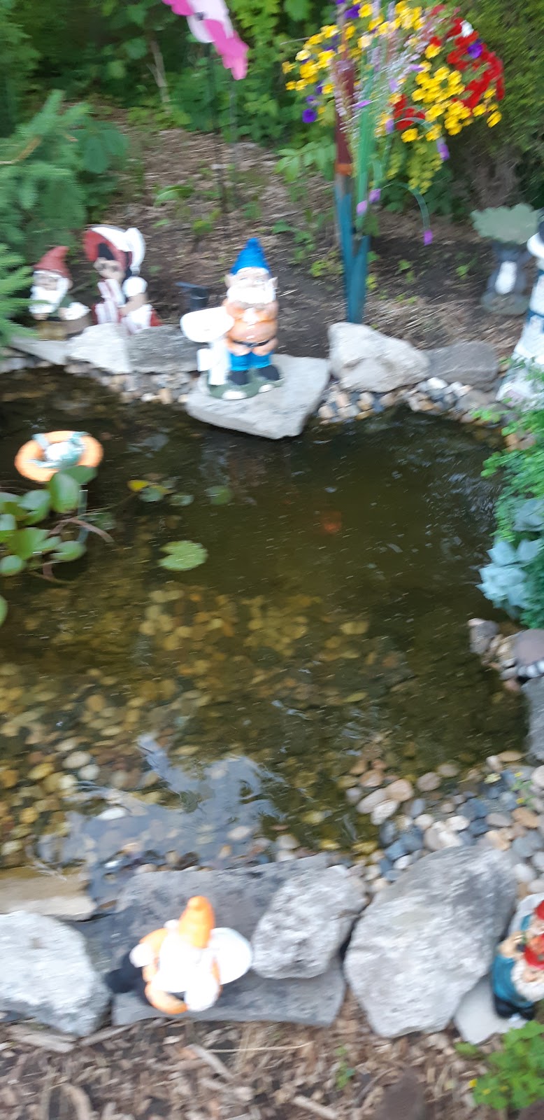 B & B Pet Supplies | 51 Ontario Rd, Mitchell, ON N0K 1N0, Canada | Phone: (519) 348-4023