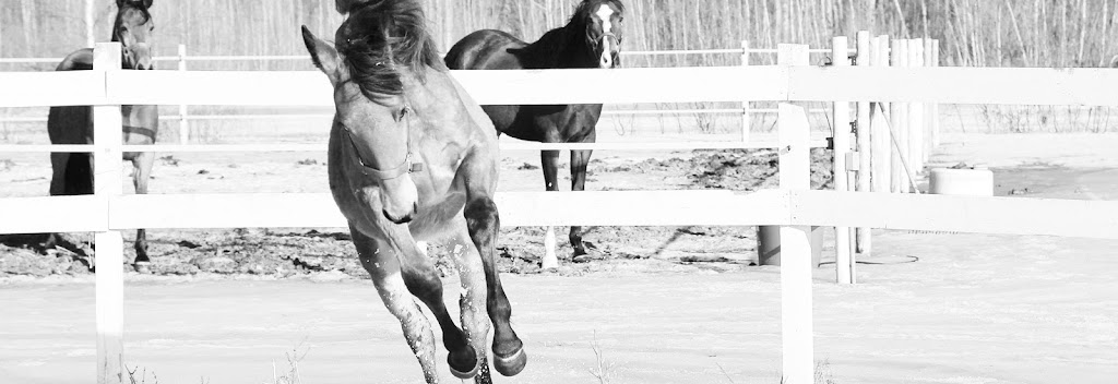Northern Heaven | 104 Rang Thiersant, Saint-Louis, QC J0G 1K0, Canada | Phone: (514) 227-8602