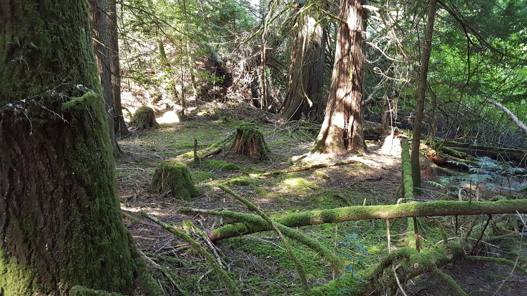 Francis/King Regional Park | Munn Rd, Saanich, BC V9E 1H7, Canada | Phone: (250) 360-3000