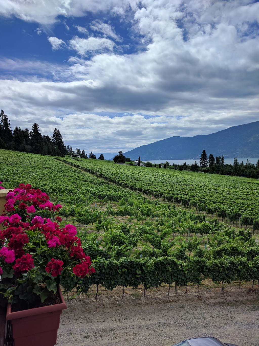 Purvin-Good & Co | 11518 Hare Rd, Lake Country, BC V4V 2H3, Canada | Phone: (250) 766-0600
