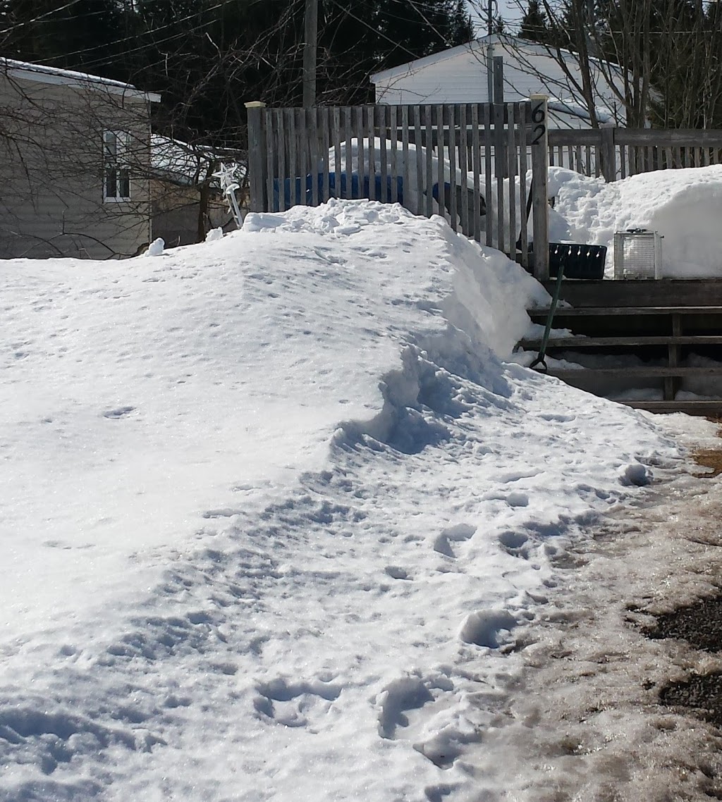 Parc Pauline Frizzell Park | 387 Salisbury Rd, Moncton, NB E1E 1B1, Canada | Phone: (506) 853-3516