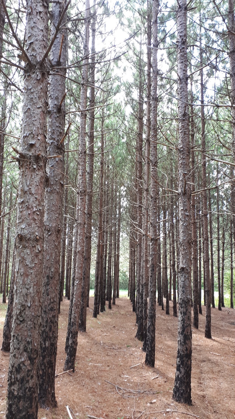 SAQMAQ park and walking trail | 964 Robinson Rd #932, Shubenacadie, NS B0N 2H0, Canada | Phone: (902) 236-2171