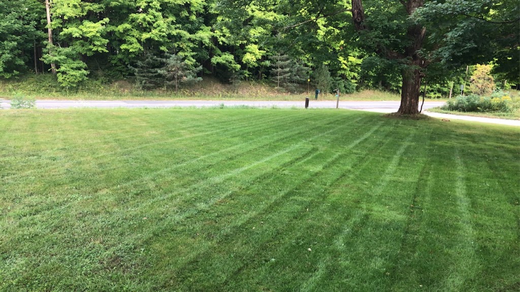 A1 Lawncare | Fairway Ct, Shanty Bay, ON L0L 2L0, Canada | Phone: (905) 353-5296