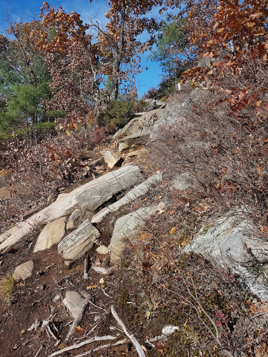 Landmark | Southwood Rd, Muskoka Lakes, ON P0C 1M0, Canada | Phone: (365) 777-4246