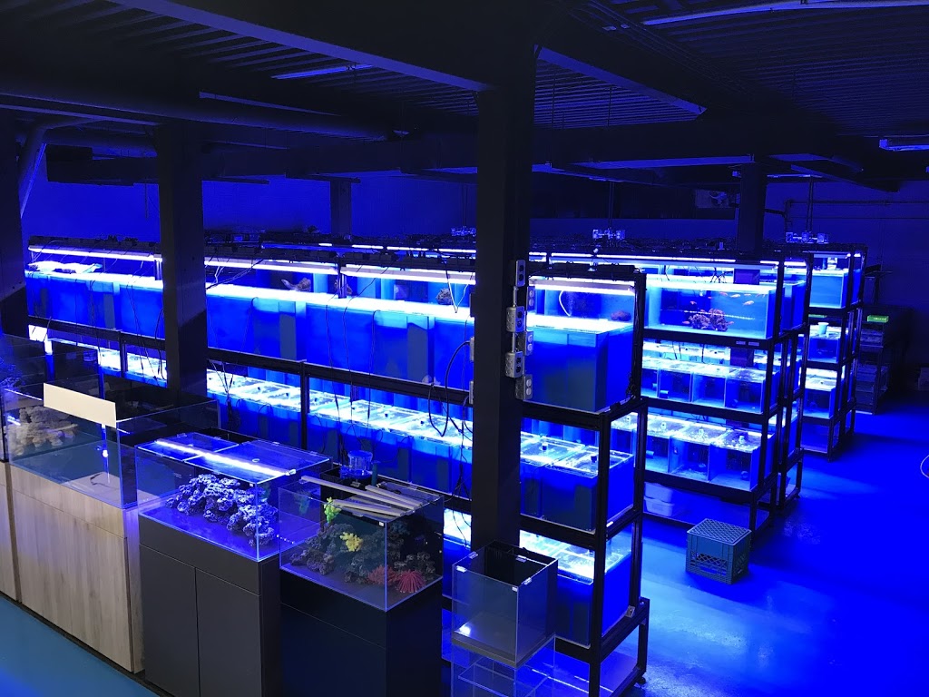Under The Sea Inc. | 45 Scott Street West, St. Catharines, Ontario, L2R 1E
