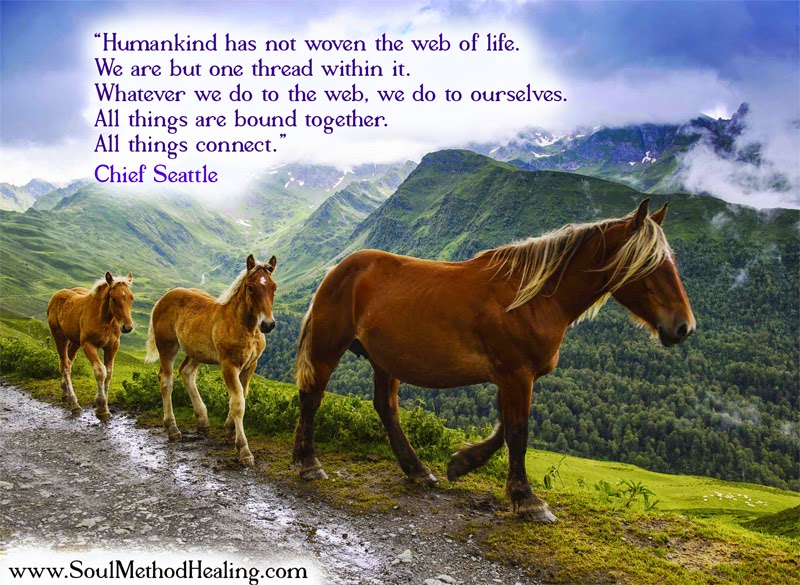 Soul Method Healing | 1893 Spyglass Pl, Vancouver, BC V5Z 4G7, Canada | Phone: (778) 235-2258