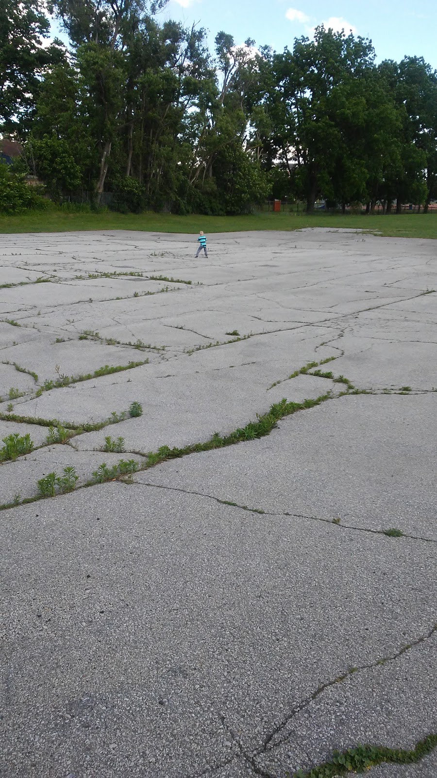 Frank Robson Park | 30 Cromwell Rd, Vaughan, ON L6A, Canada
