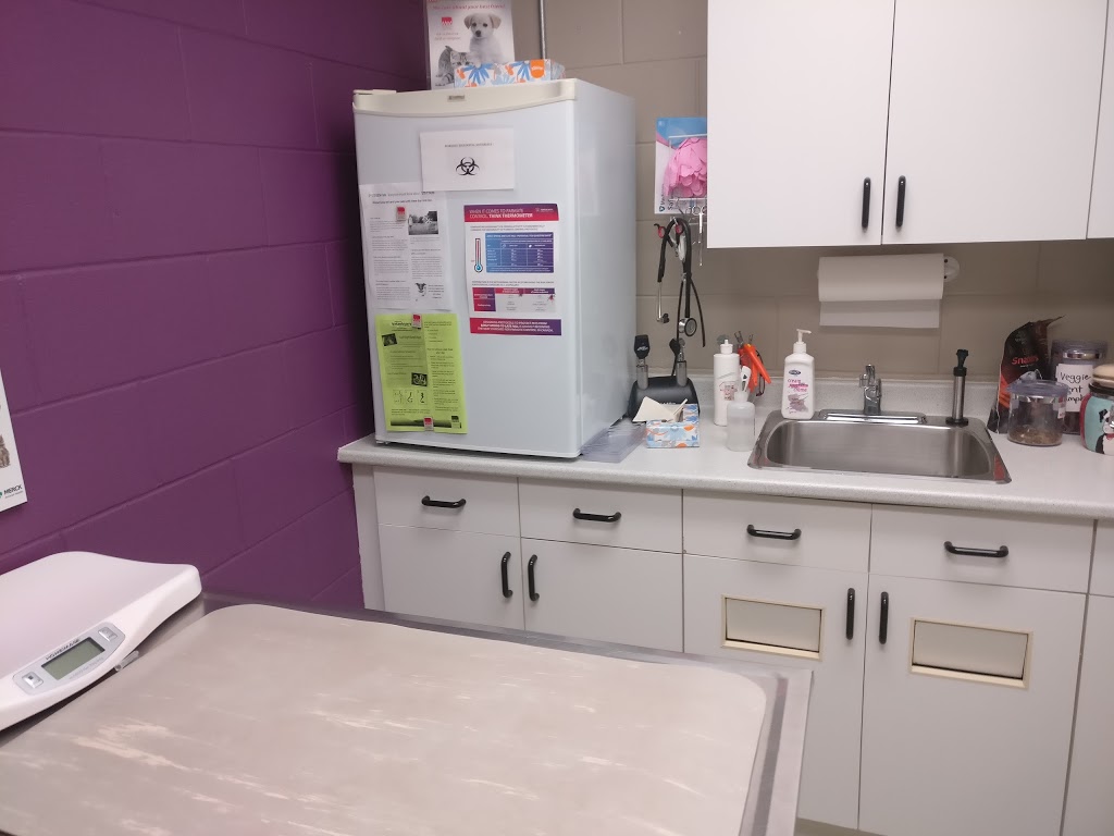 Wellington Veterinary Services | 320 E Mill St, Elora, ON N0B 1S0, Canada | Phone: (519) 846-5327