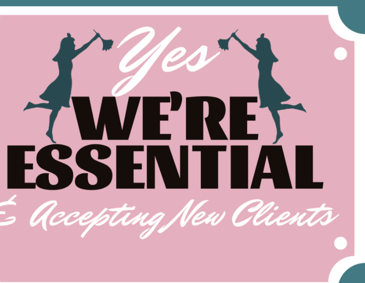Newtons Professional Cleaning Service | 123 Charlotteville Rd 1, St Williams, ON N0E 1P0, Canada | Phone: (226) 567-0767