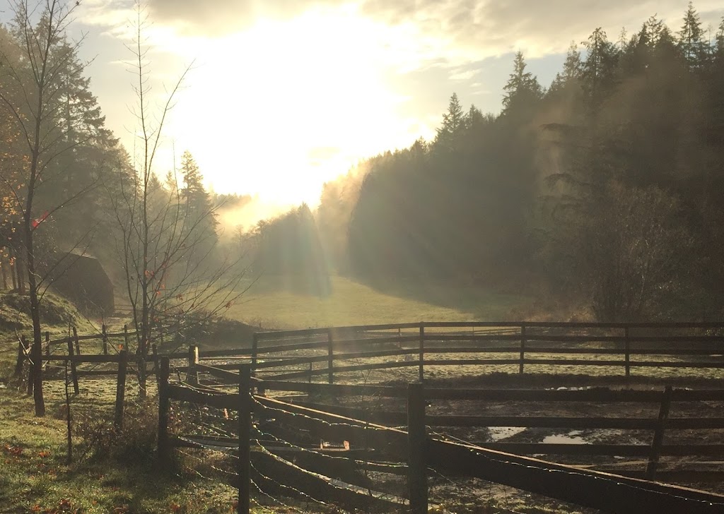 Gulf Islands Horse Association | 113 Village Terrace, Salt Spring Island, BC V8K 2V2, Canada | Phone: (250) 537-2018