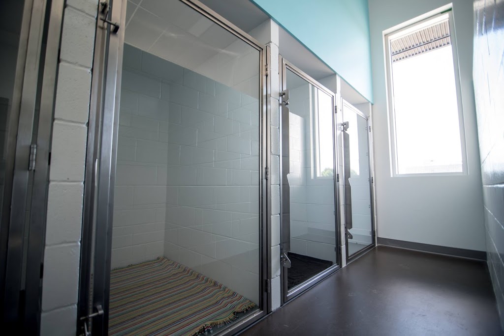 Hôpital Vétérinaire Les Rivières Inc | 5845 Boulevard des Chenaux, Trois-Rivières, QC G8Y 5V7, Canada | Phone: (819) 694-7300