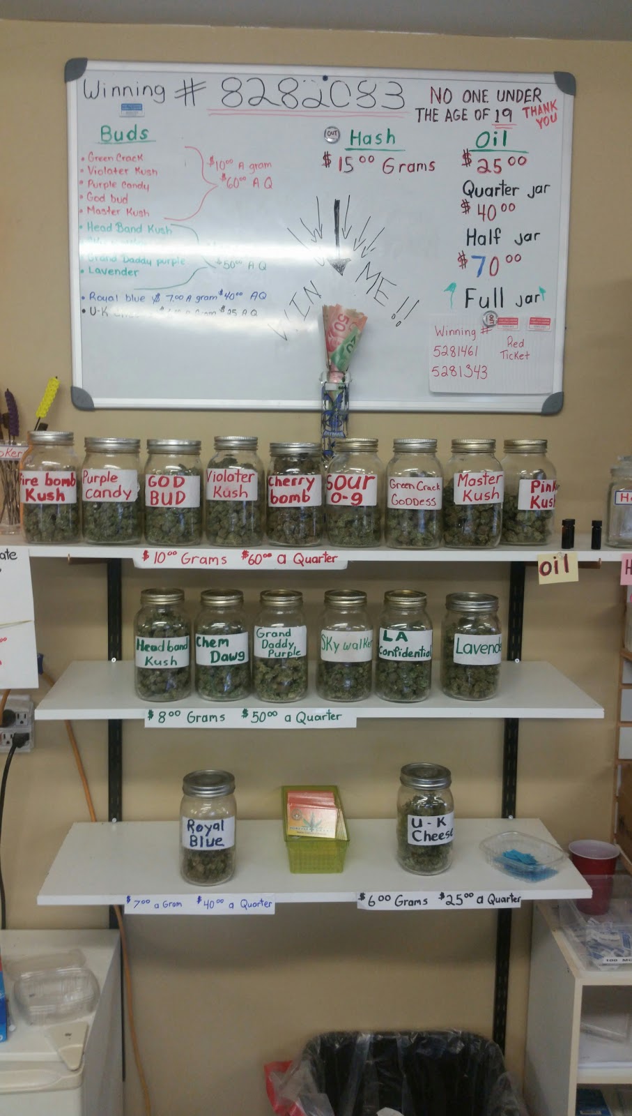 Forever Green | 266 York Rd, Shannonville, ON K0K 3A0, Canada | Phone: (613) 707-1870