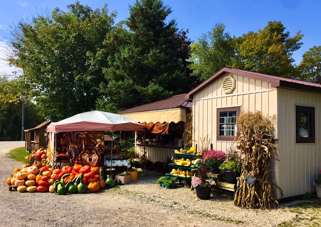 Countryside Values | Kincardine, ON N0G 2R0, Canada | Phone: (519) 395-3593
