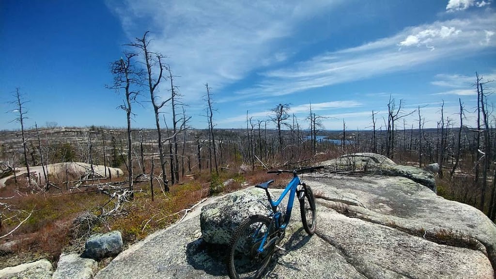 Fight Trails | Alabaster Way, Halifax, NS B3R 1X6, Canada
