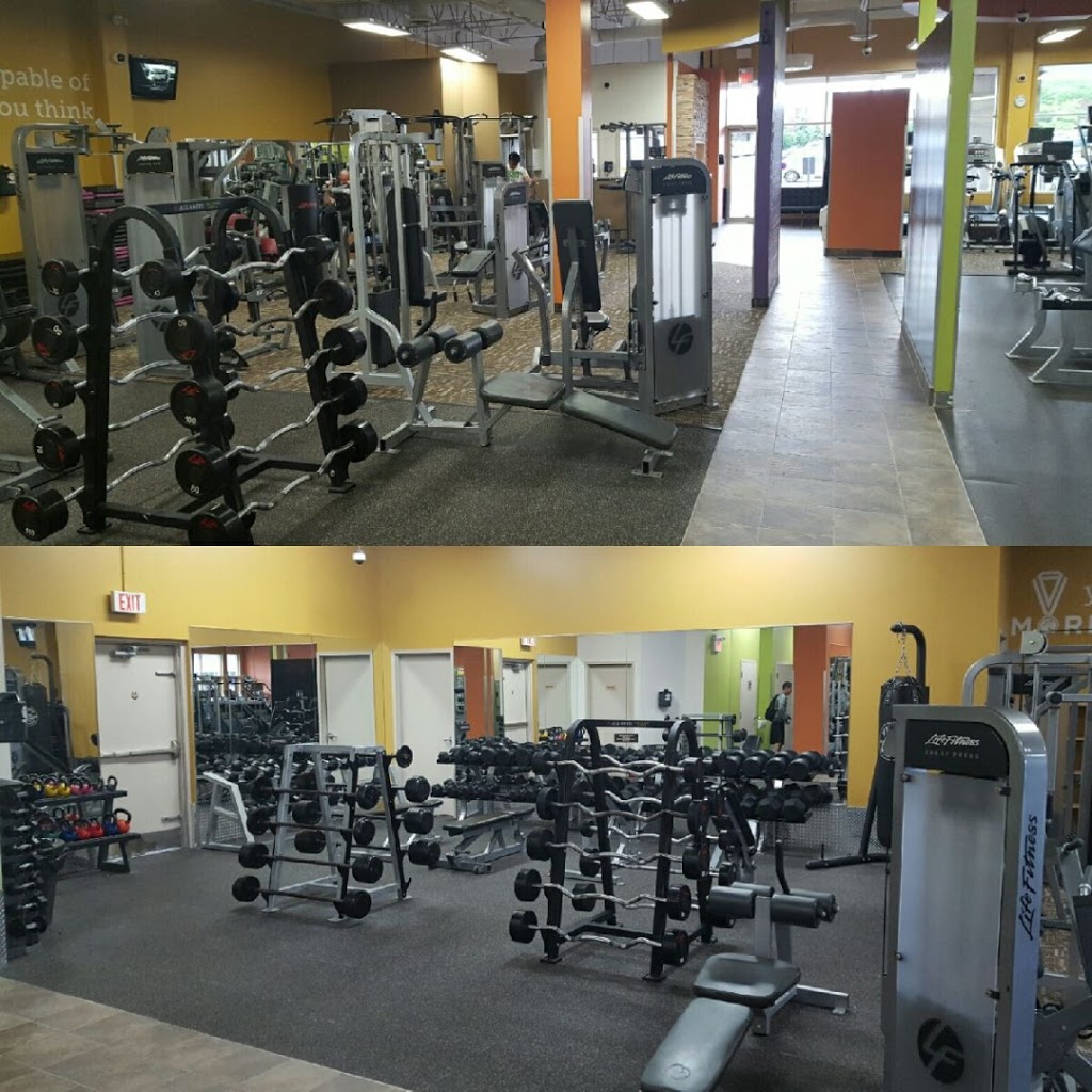 Anytime Fitness | 5602 Tenth Line W, Mississauga, ON L5M 7L9, Canada | Phone: (905) 812-7669