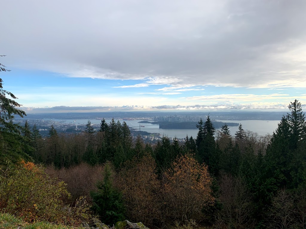 2easy Travel Vancouver | 5393 201 St #404, Langley City, BC V3A 1P6, Canada | Phone: (778) 697-5602