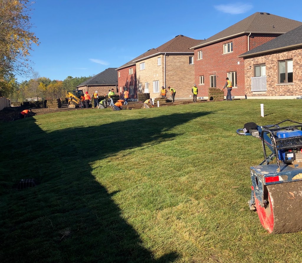 High Point Grading & Sodding Inc. | 23402 ON-48, Baldwin, ON L0E 1A0, Canada | Phone: (905) 989-1003