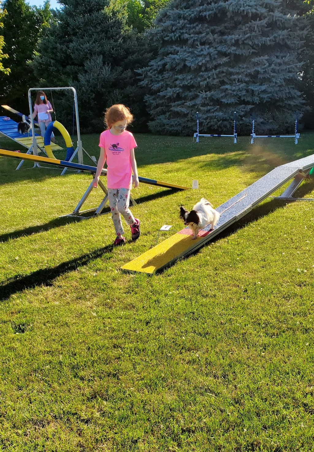 ClassPup Animal Training and Behaviour | 7971 Collison Side Rd, Harrow, ON N0R 1G0, Canada | Phone: (519) 736-4221
