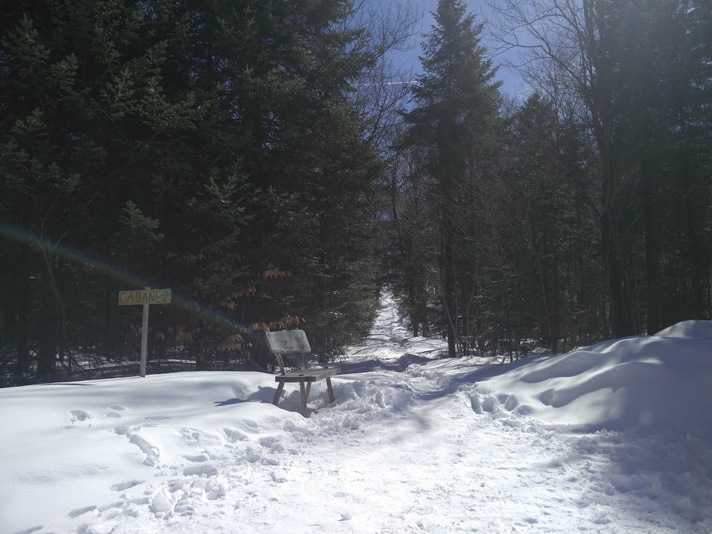 La pause sylvestre | 58 11e rg de Dudswell, Dudswell, QC J0B 2L0, Canada | Phone: (819) 828-0049