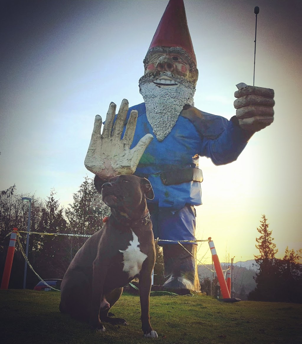 Triple Os | 1660 Island Hwy E, Nanoose Bay, BC V9P 9E2, Canada | Phone: (250) 468-1777