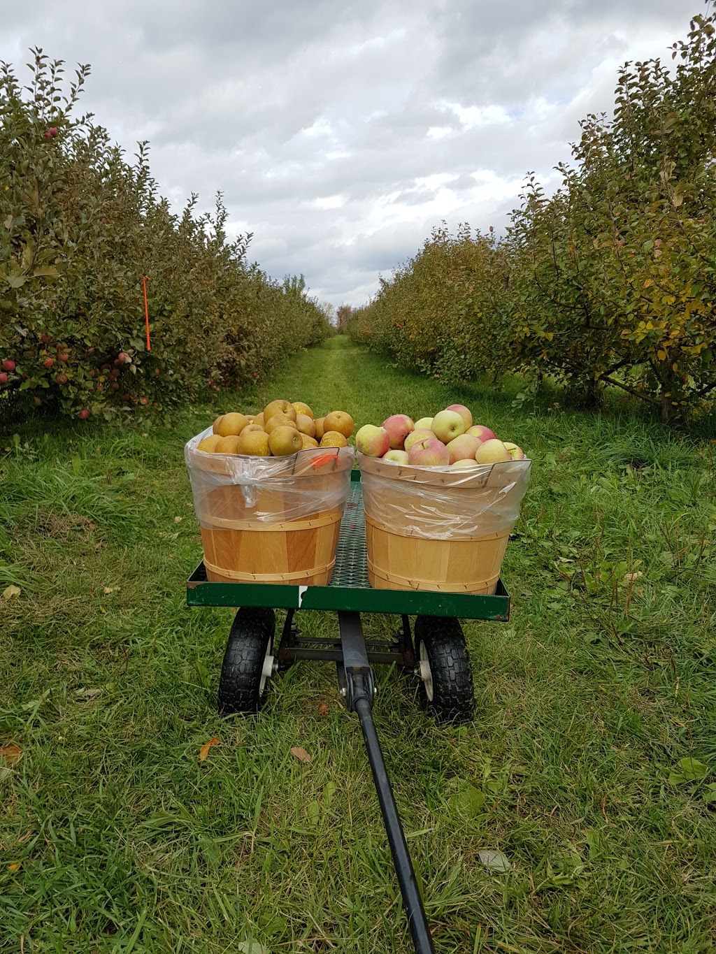 Williams Orchard | 10101 Hume Ct, Milton, ON L9T 2X9, Canada | Phone: (905) 876-4220