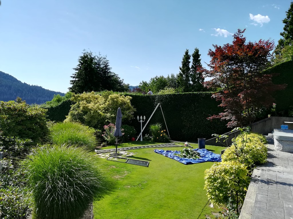 Aesthetic Tree & Hedge Services Brittania | 802 Britannia Way, Britannia Beach, BC V0N 1J0, Canada | Phone: (604) 716-7377