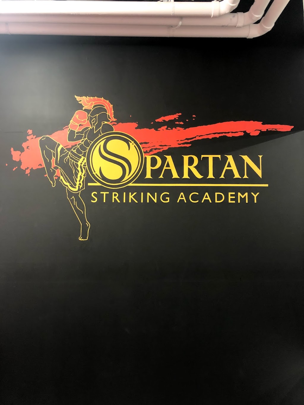 Spartan Striking Academy | 81 Luzon Ave, Markham, ON L6B 1N7, Canada | Phone: (647) 785-5873