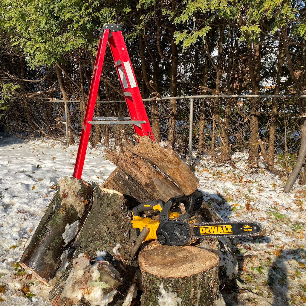 Émondage Red Ladder Tree Services Inc. | 2525 Pl. du Louvet, Saint-Lazare, QC J7T 3L7, Canada | Phone: (514) 696-5205