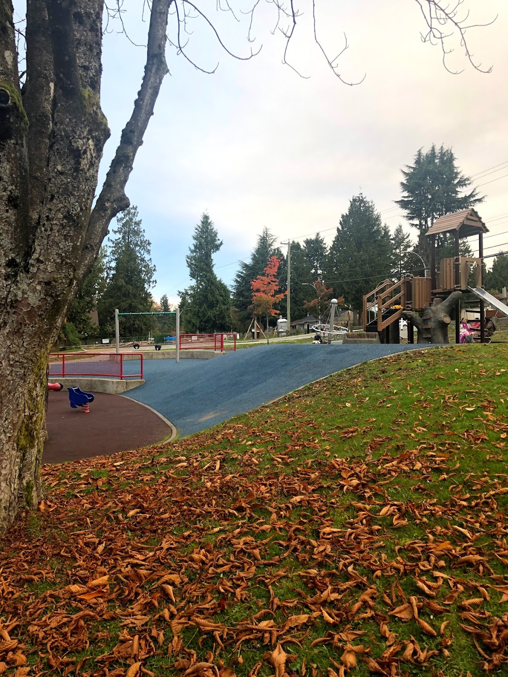 Robson Park | 12678 100 Ave, Surrey, BC V3V 2X9, Canada | Phone: (604) 591-4011
