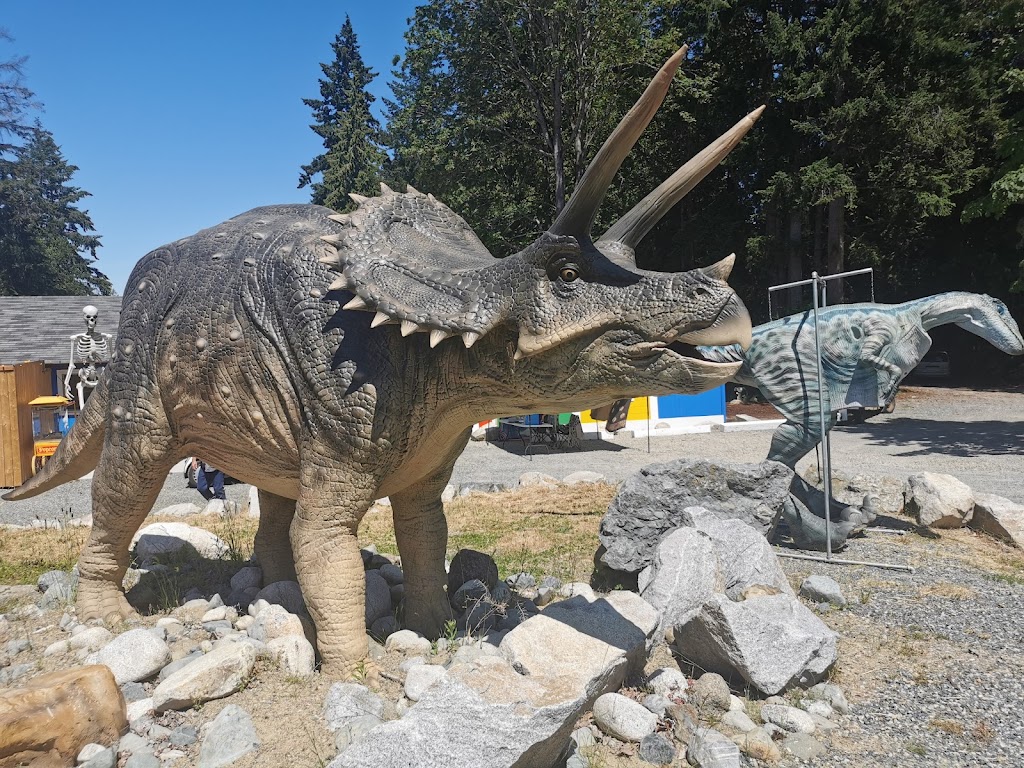 Dino North | 7890 Clark Dr W, Lantzville, BC V0R 2H0, Canada | Phone: (236) 628-1416