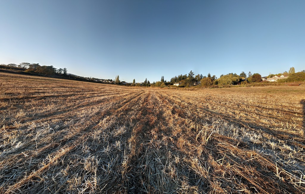Panama Flats | Roy Rd, Victoria, BC V8Z 2T7, Canada | Phone: (778) 922-0749