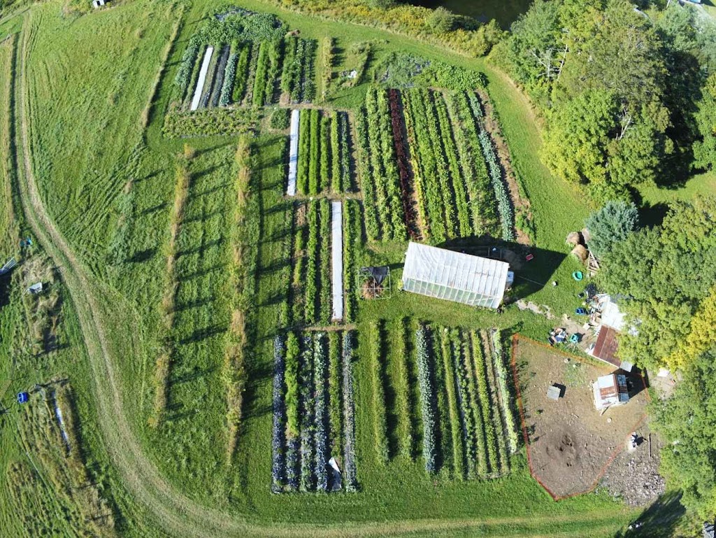 Fruits N Roots Farm | 21 Maple Ln, Newport, NS B0N 2A0, Canada | Phone: (902) 306-7529