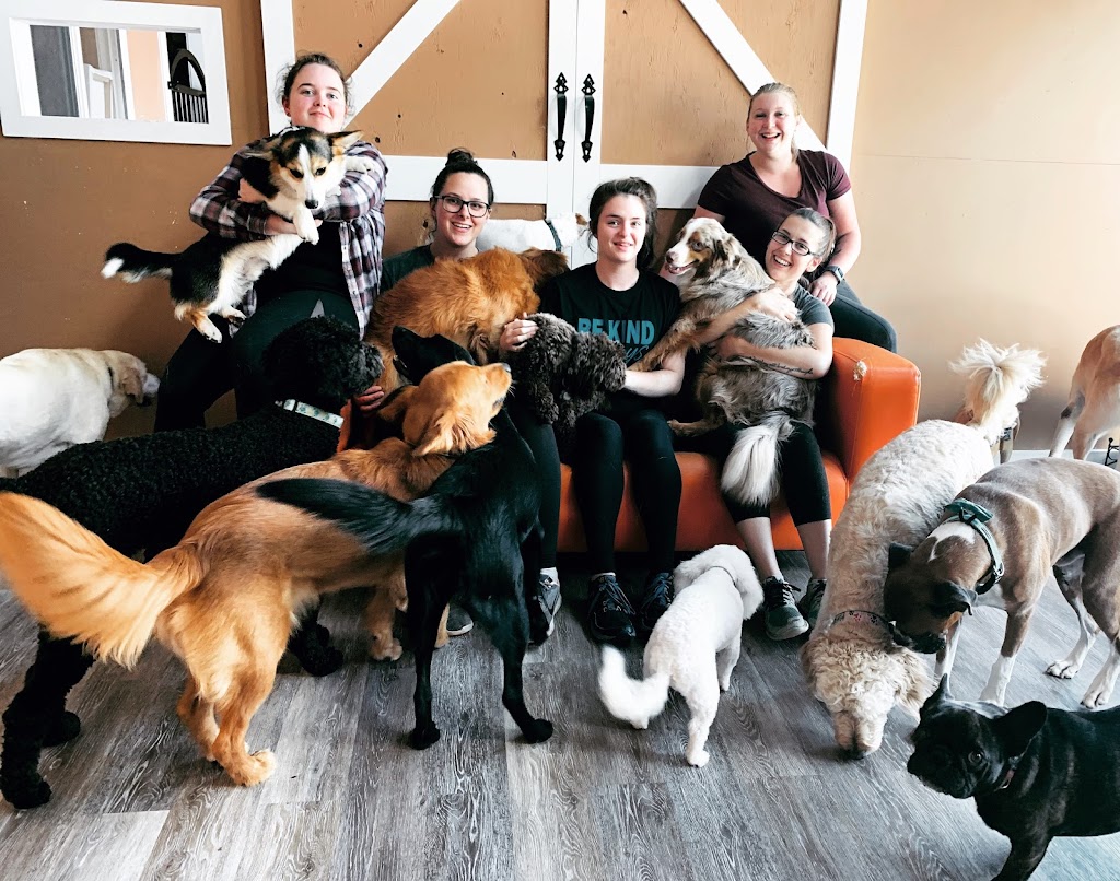 LEASH Loft & Spa | 2710 Barnet Hwy #40, Coquitlam, BC V3B 1B8, Canada | Phone: (604) 941-9001