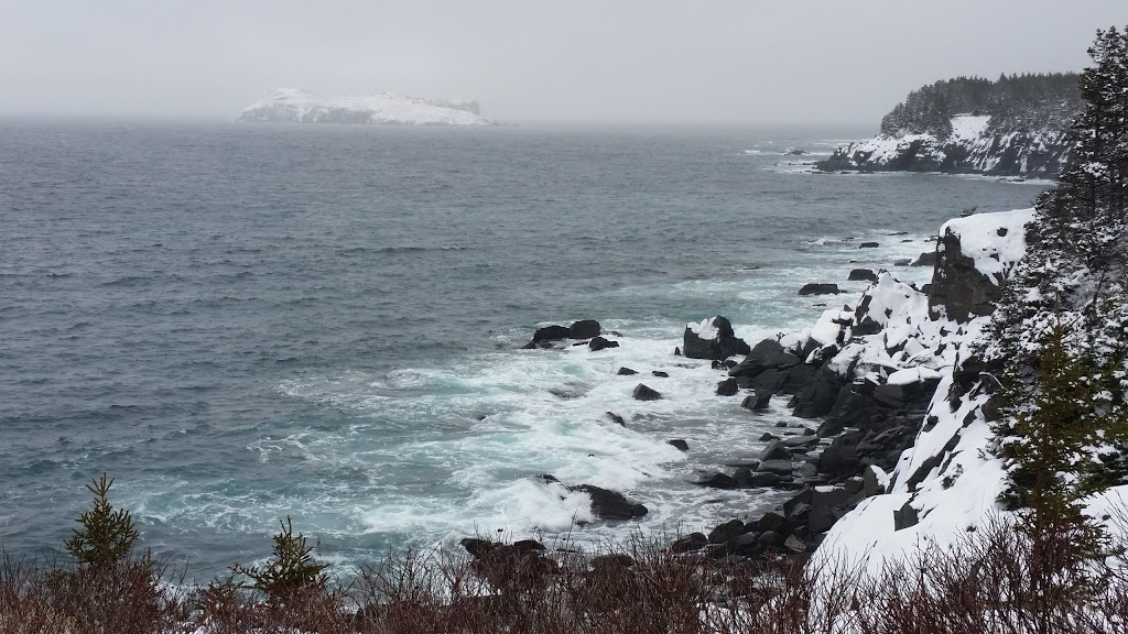 Saint Patricks Catholic Parish Centre | 17 St Clare Ave, Carbonear, NL A1Y 1A7, Canada | Phone: (709) 596-5232