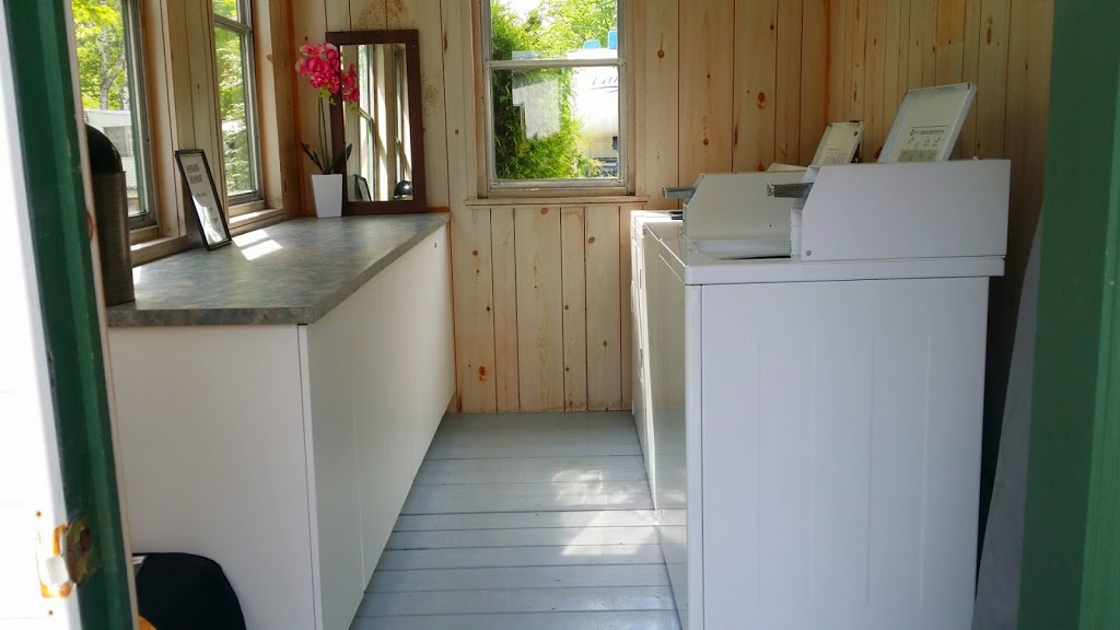Camping les lions dor | 310 Avenue Ringuette, Saint-Étienne-des-Grès, QC G0X 2P0, Canada | Phone: (819) 535-4124