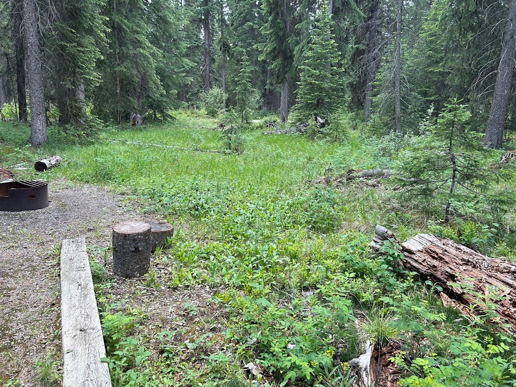 McLeod Meadows CG, Kootenay NP | Banff-Windermere Hwy, Edgewater, BC V0A 1E0, Canada | Phone: (877) 737-3783