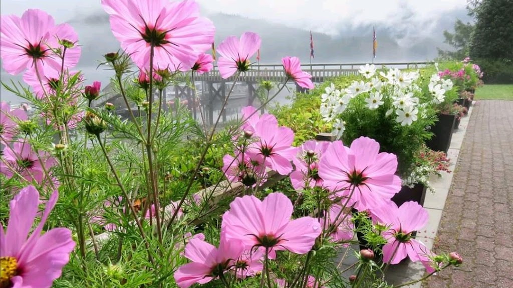 Blind Channel Resort | 1 Waterfront, Blind Channel, BC V0P 1B0, Canada | Phone: (888) 329-0475