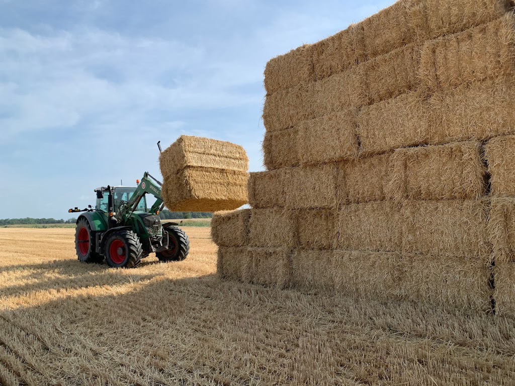 Haybury Farms Inc | 65 Concession #9, Jarvis, ON N0A 1J0, Canada | Phone: (905) 906-4431