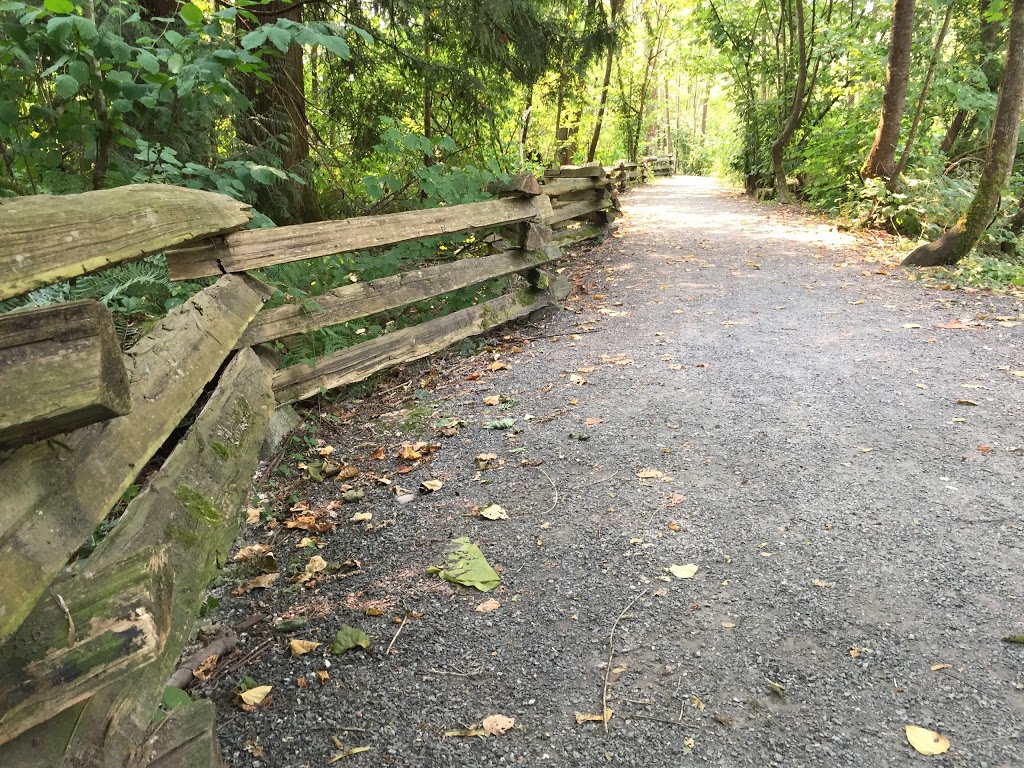 Cottonwood North Park | 238b St, Maple Ridge, BC V4R 1N2, Canada