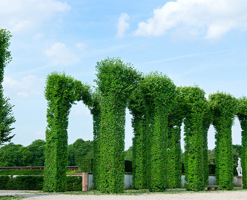 CDR Landscaping | 31707 ON-17 r1, Chalk River, ON K0J 1J0, Canada | Phone: (613) 639-0410