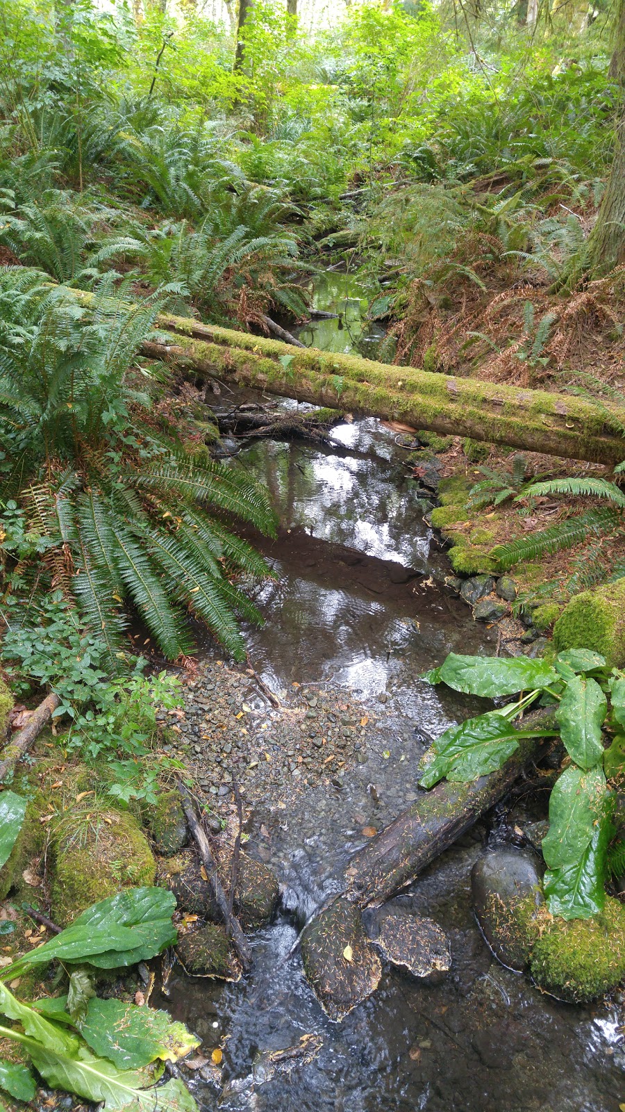 Price Park | Youbou Rd, Youbou, BC V0R 3E1, Canada | Phone: (250) 746-2620