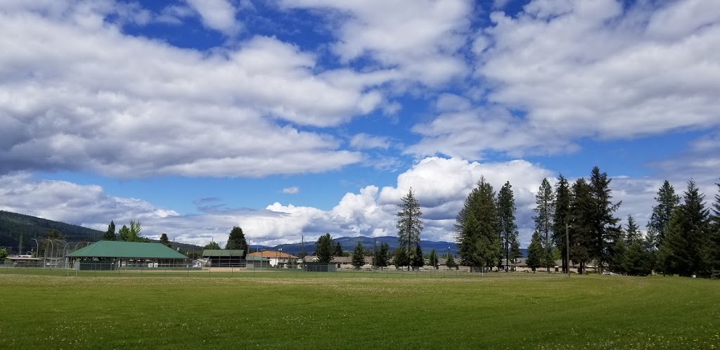 Enderby Riverside Park and Ball Diamonds | 501 Kildonan Ave #203, Enderby, BC V0E 1V2, Canada | Phone: (250) 838-2665