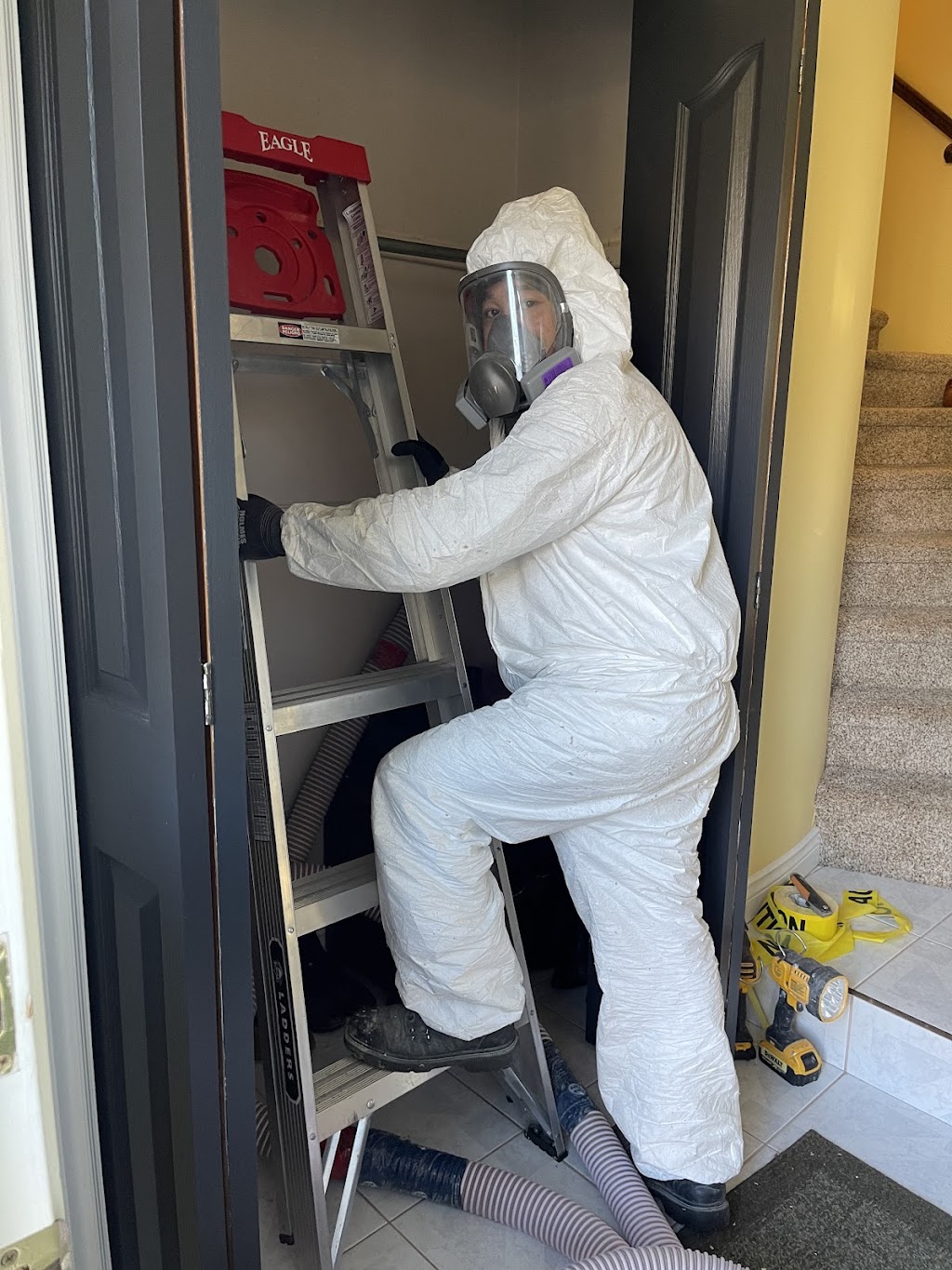Apex Insulation Services | 14 Taylor Lake Dr, Hammonds Plains, NS B4B 1N7, Canada | Phone: (902) 488-1821