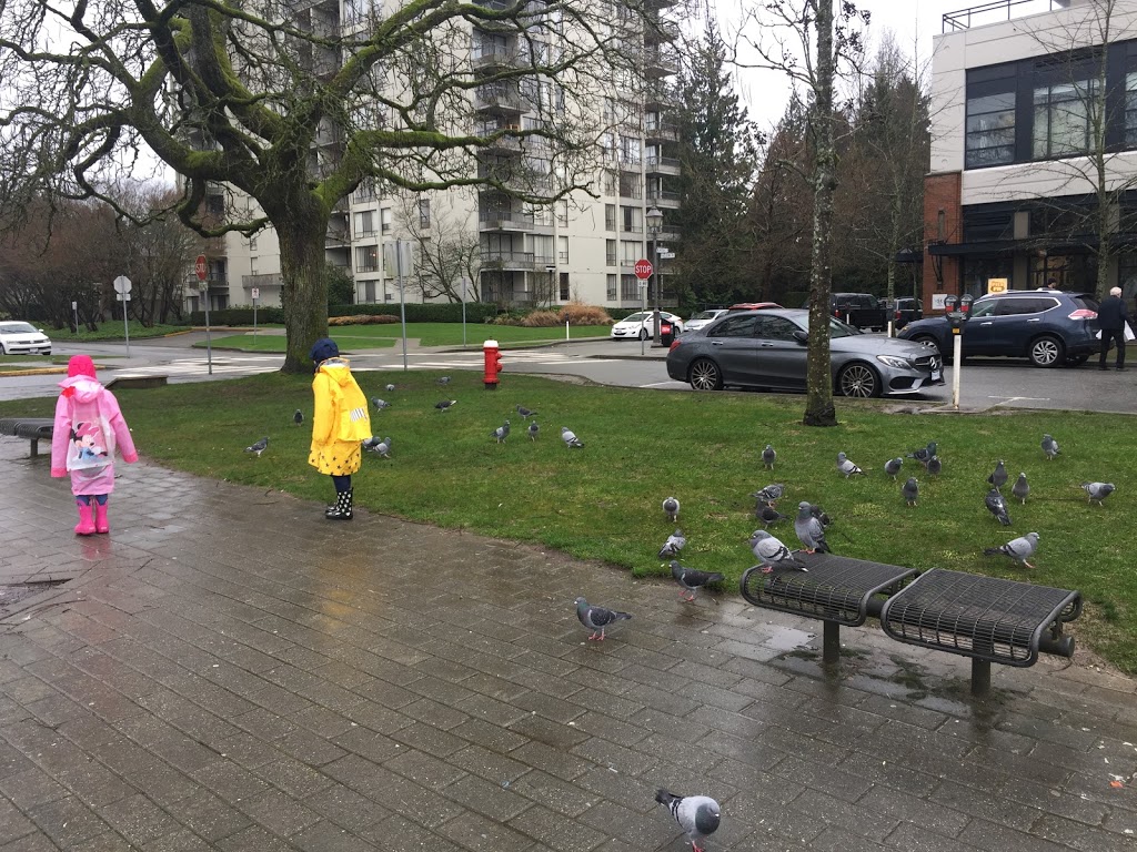 Jim Everett Memorial Park | Dalhousie Rd, Greater Vancouver A, BC V6T, Canada