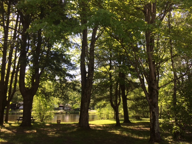 Camping Domaine Tournesol | 327 Chemin Brosseau, Cowansville, QC J2K 0B4, Canada | Phone: (450) 263-9515