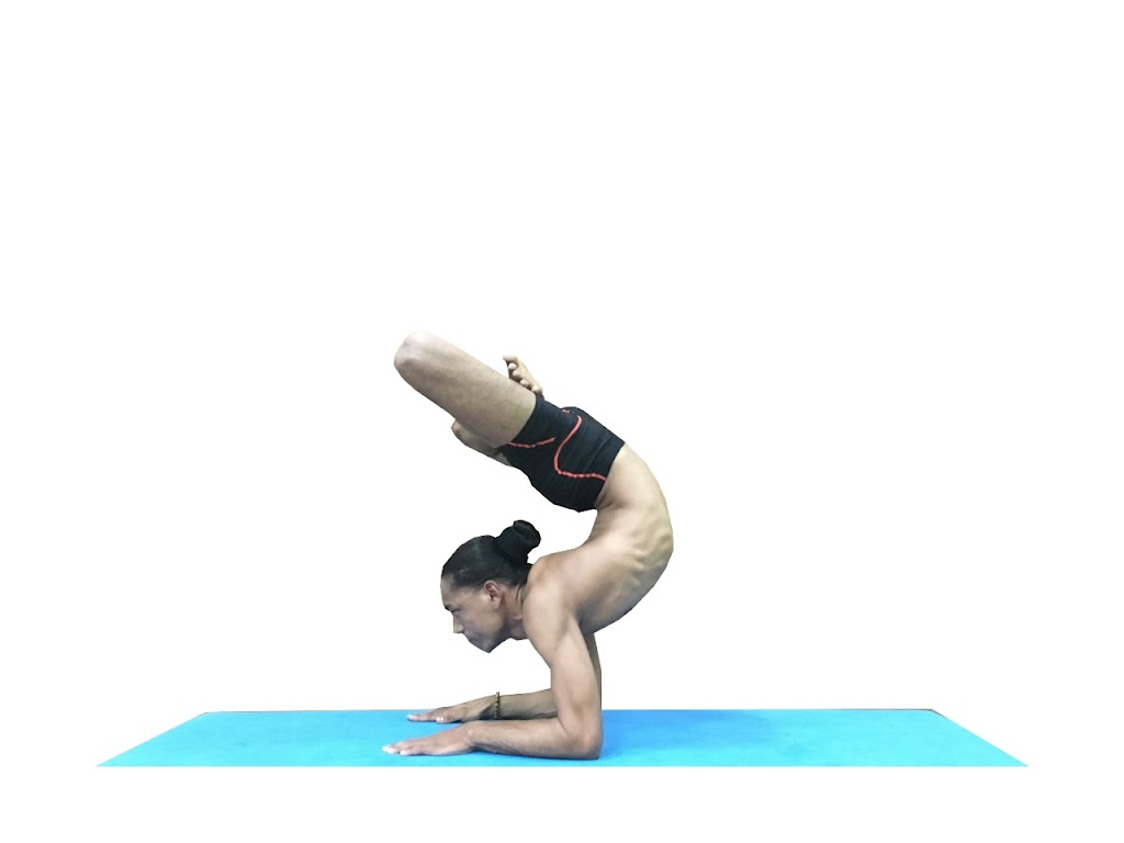 Canadian Yoga Association | From Parking Side, 2464 Clearbrook Rd Unit 203, Abbotsford, BC V2T 2X8, Canada | Phone: (778) 982-0550