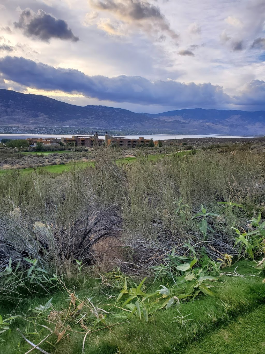 Sonora Dunes Golf Course | 1300 Rancher Creek Rd, Osoyoos, BC V0H 1V6, Canada | Phone: (250) 495-4653