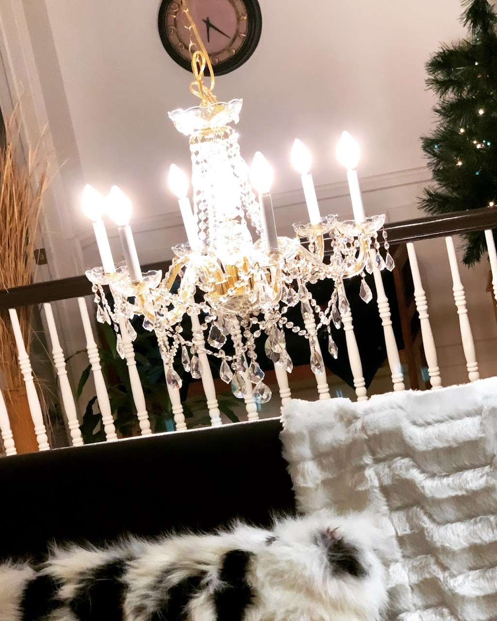 Maison de beauté Sen | 7770 Boulevard Lévesque E, Laval, QC H7A 1T3, Canada | Phone: (450) 665-9955