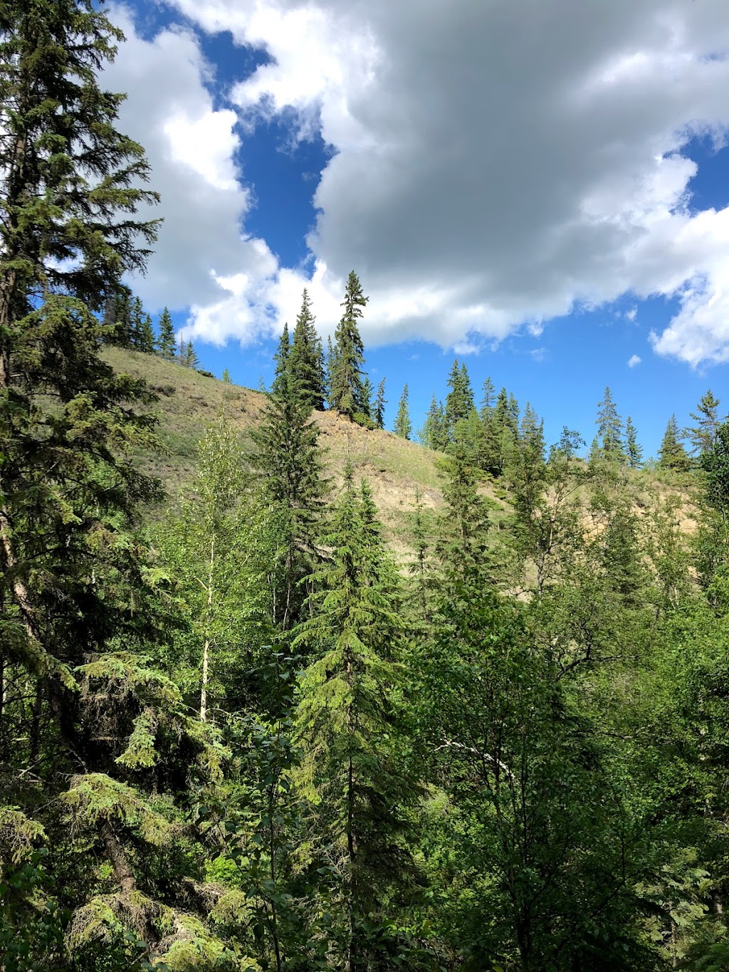 Canyon Ski Resort & Recreation Area Ltd. | 38433, Range Rd 264A, AB T4E 0Z1, Canada | Phone: (403) 346-5588