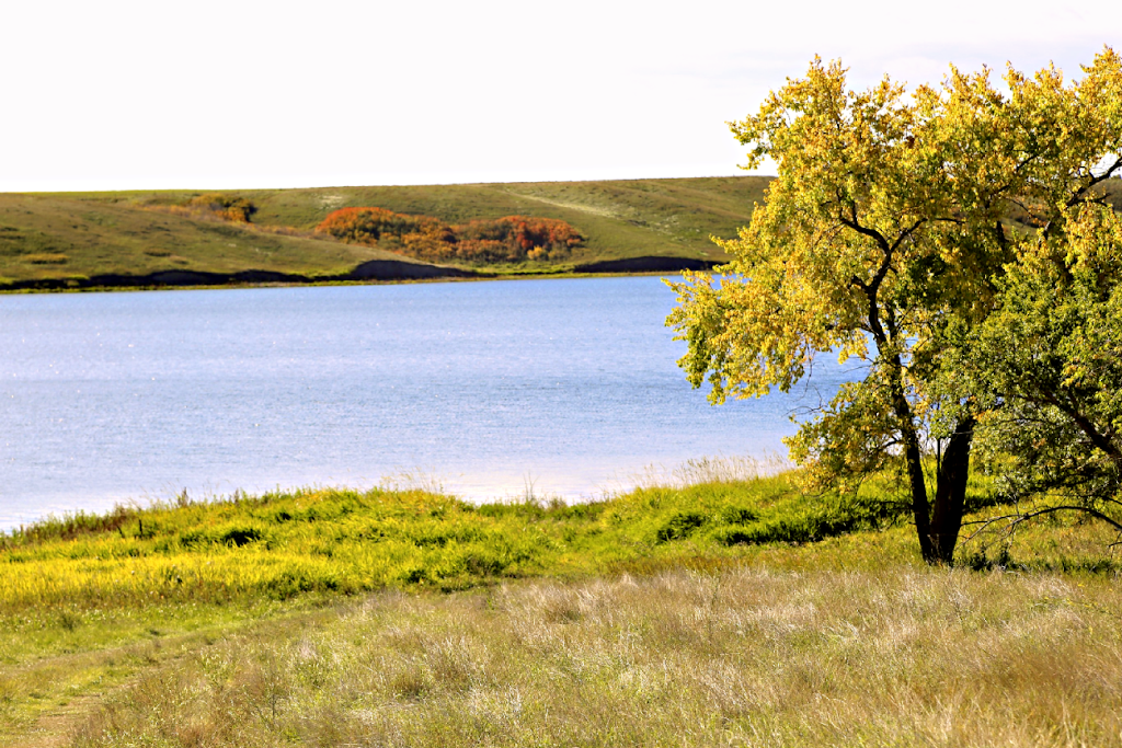 Sandy Shores Resort | 1 SW of the Gardiner Dam Spillway on Lake Diefenbaker Gardiner Dam, Coteau No. 255, SK S0L 2E0, Canada | Phone: (306) 249-2939